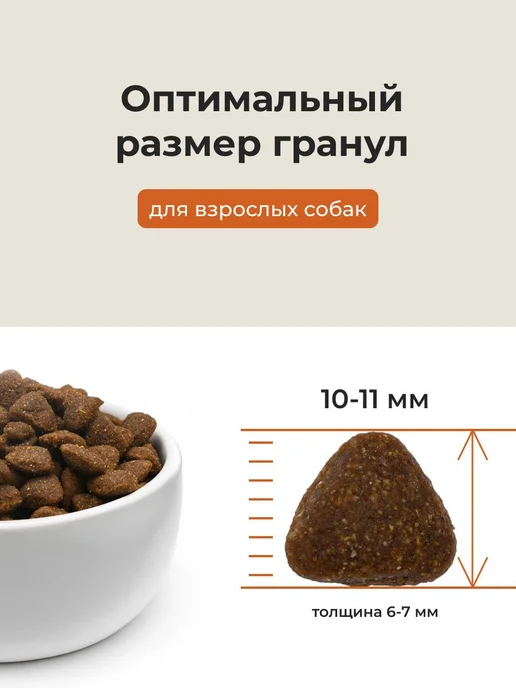 Сухой корм ALMO NATURE Dog All для собак, взрослые, ягненок, 0,4 кг, фото 3