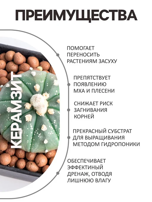 Дренаж керамзит фракция 5-10 мм для грунта, вариант, фото 2