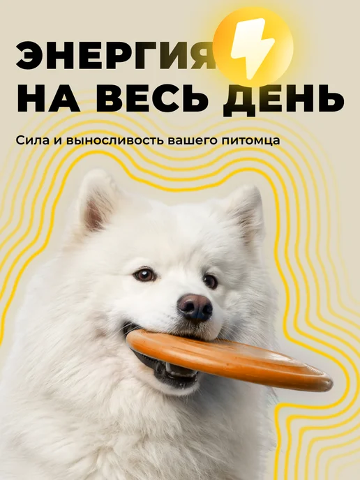 Сухой корм KORWOOD для собак, мелкие, индейка, 5 кг, фото 2