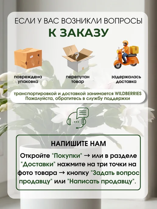 Черенки Декабриста Шлюмбергера Комнатные растения 4 шт, 4 шт, фото 5