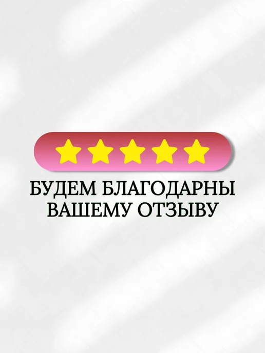 Черенки Декабриста Шлюмбергера Комнатные растения 4 шт, 4 шт, фото 6