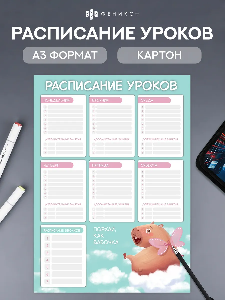 Расписание уроков А3 из картона
