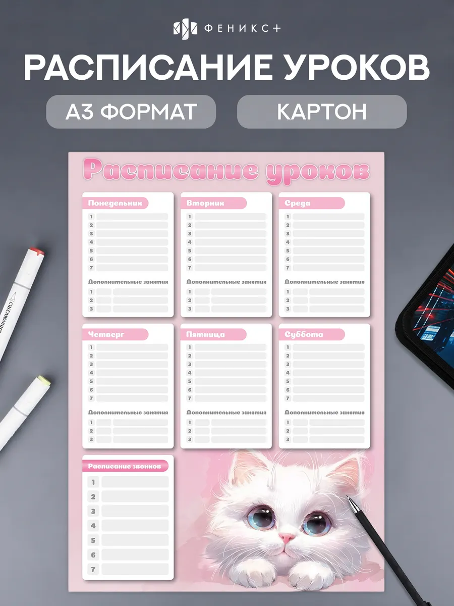 Расписание уроков А3 из картона