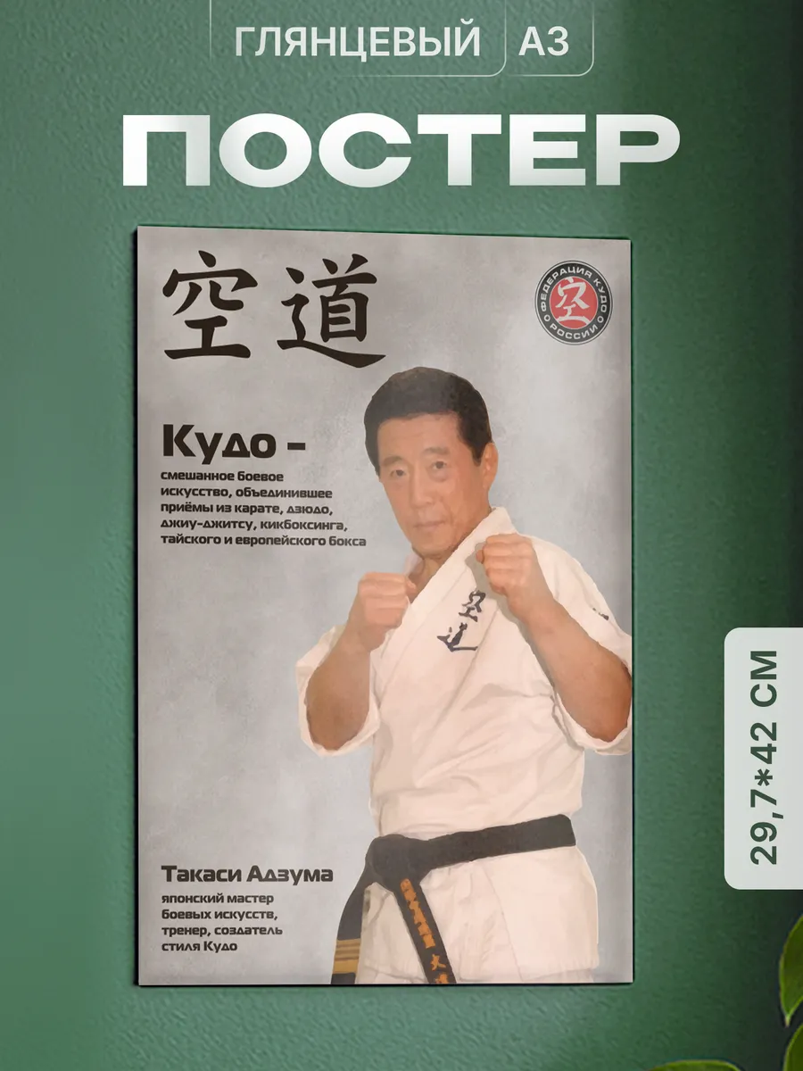 Плакат Кудо