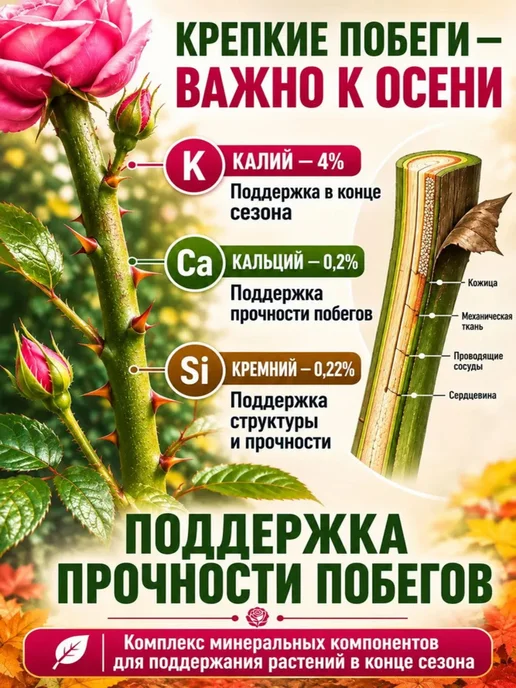 Чудозем Удобрение для роз садовых и комнатных, осенняя подкормка, 500 мл, фото 3