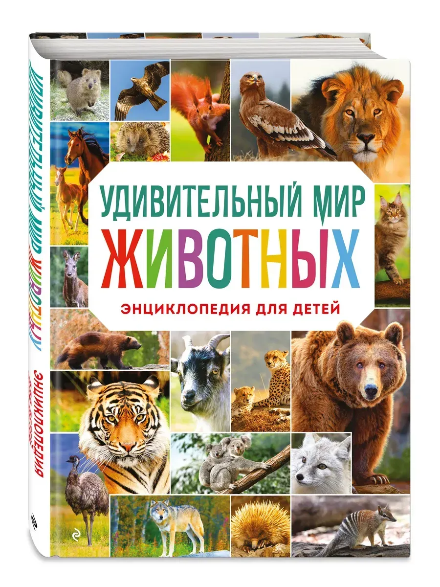 Удивительный мир животных. Энциклопедия для детей