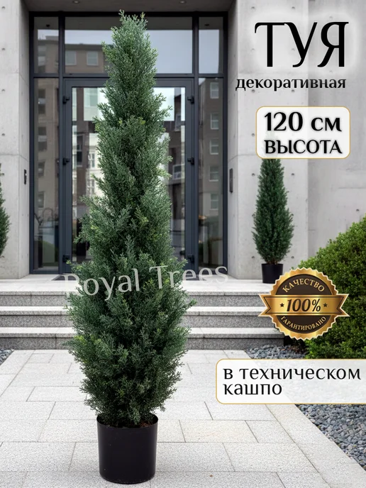 Royal Trees Искусственное дерево Туя 120 см, зеленый
