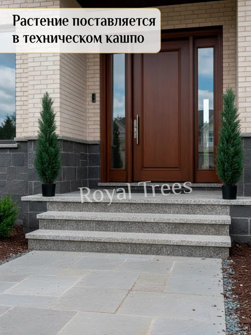 Royal Trees Искусственное дерево Туя 120 см, зеленый, фото 2
