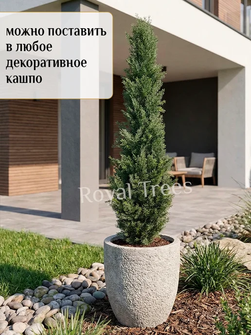 Royal Trees Искусственное дерево Туя 120 см, зеленый, фото 4