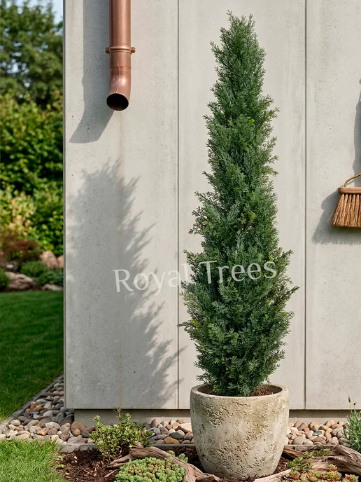 Royal Trees Искусственное дерево Туя 120 см, зеленый, фото 6