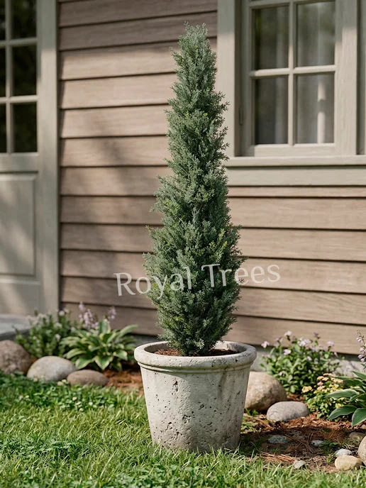 Royal Trees Искусственное дерево Туя 120 см, зеленый, фото 7