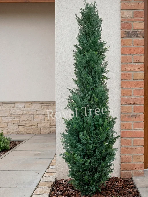 Royal Trees Искусственное дерево Туя 120 см, зеленый, фото 8