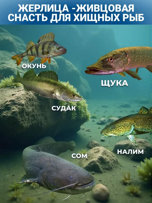 FISH RAID Жерлица зимняя рыболовная усиленная оснащенная 10шт + сумка, 10 шт, фото 7
