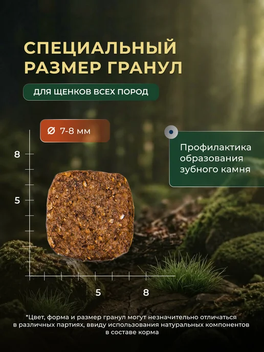 Сухой корм MONGE Bwild Карт… для собак, беззерновой, щенки, мясо, утка, 12,3 кг, фото 4