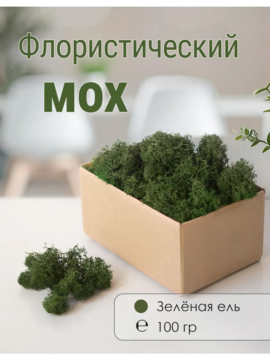 Мох стабилизированный мелкий 100 г