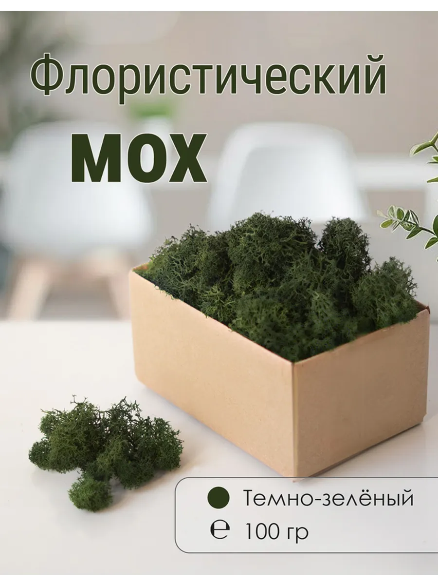 Мох стабилизированный мелкий 100 г