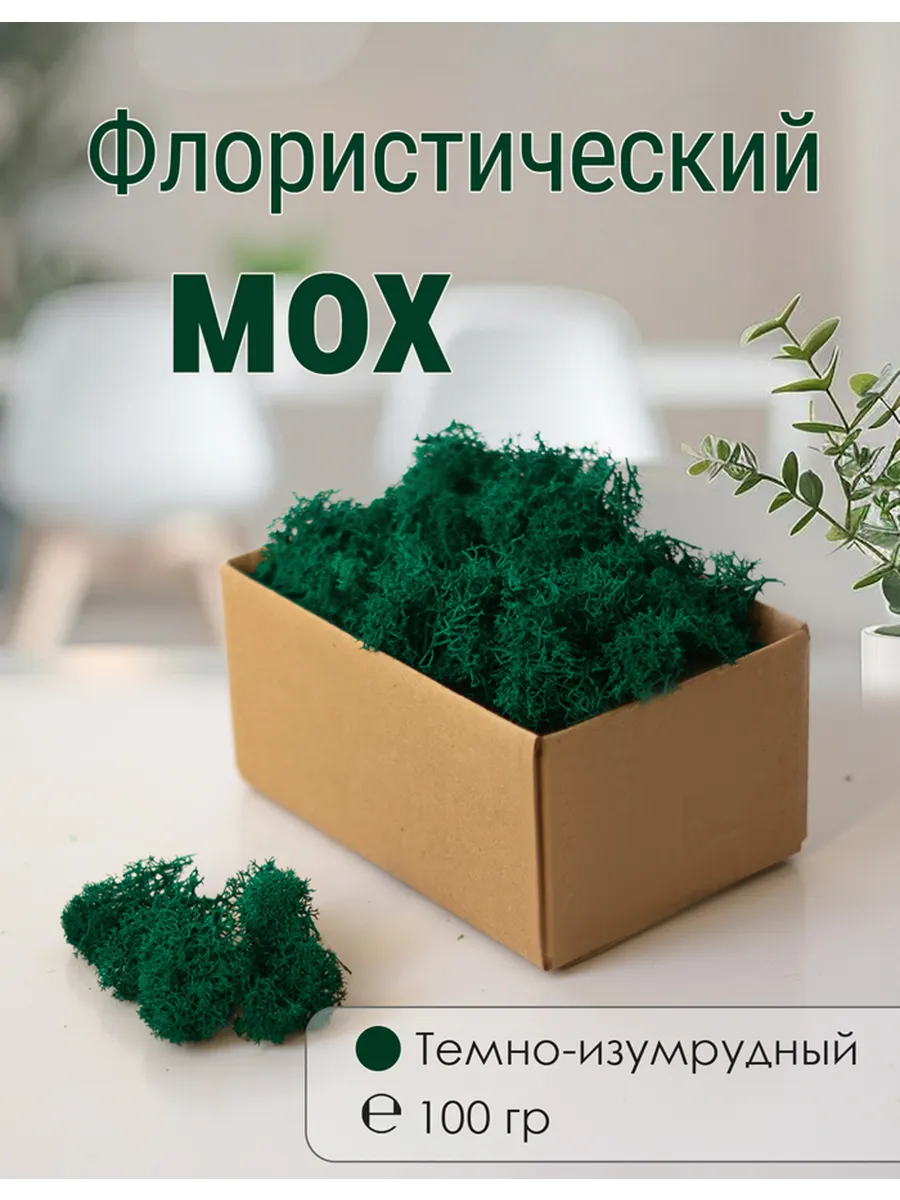 Мох стабилизированный мелкий 100 г