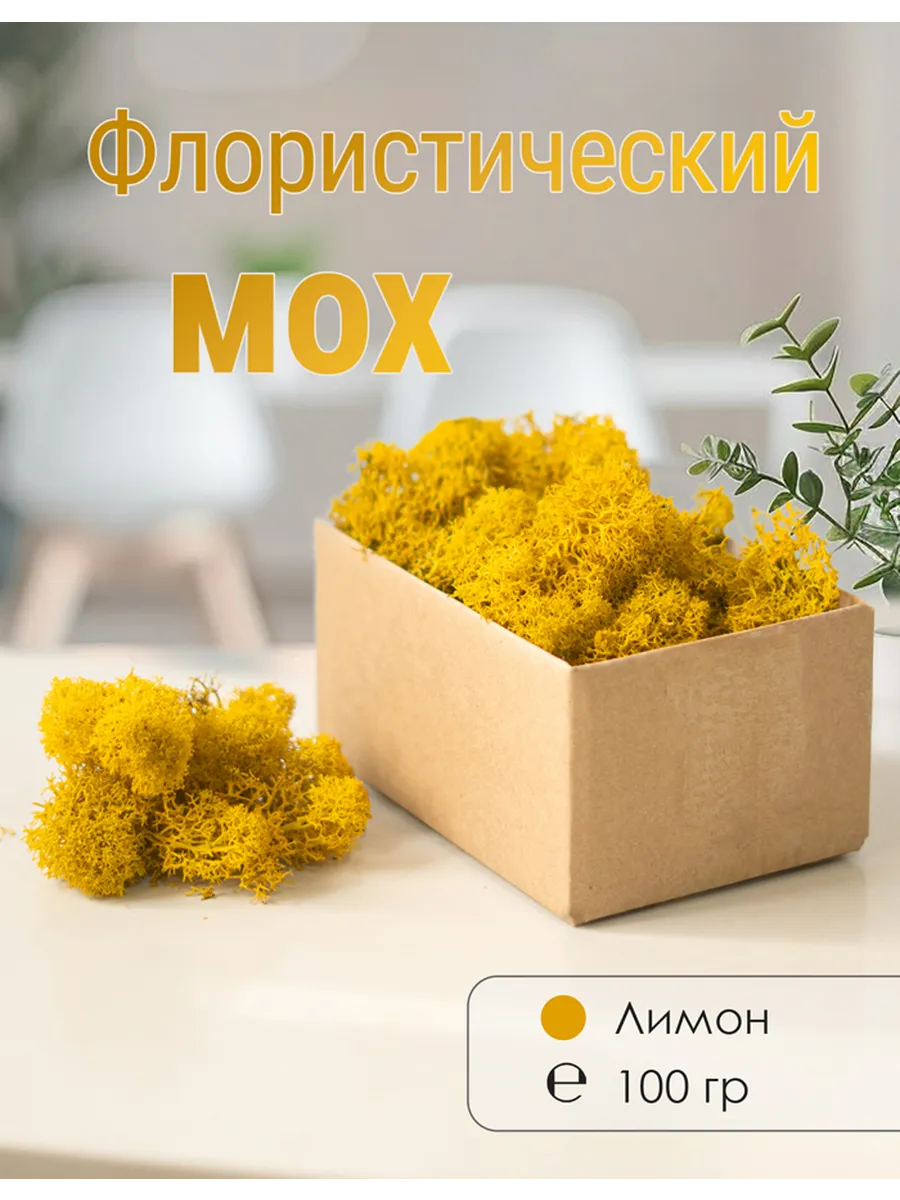 Мох стабилизированный мелкий 100 г