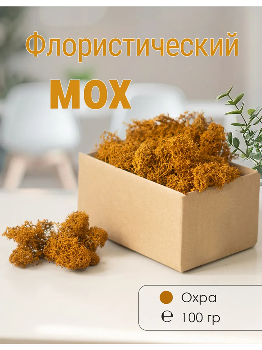 Мох стабилизированный мелкий 100 г