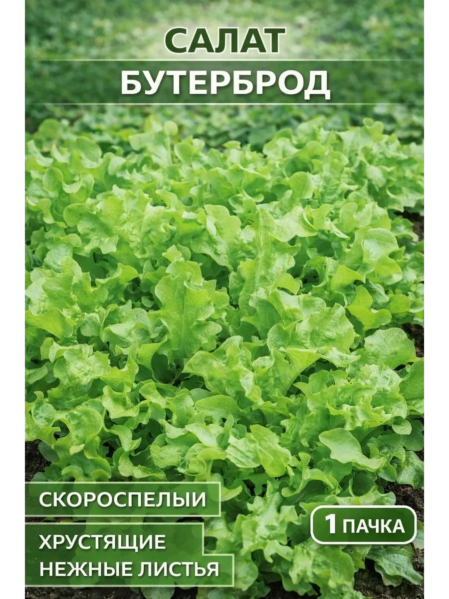 Семена Салат Бутерброд листовой