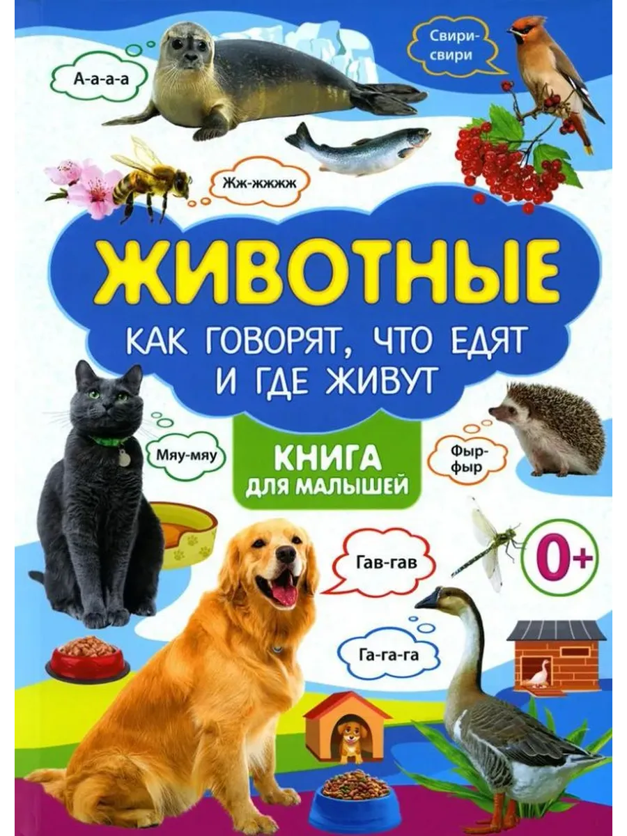 Животные. Как говорят, что едят и где живут