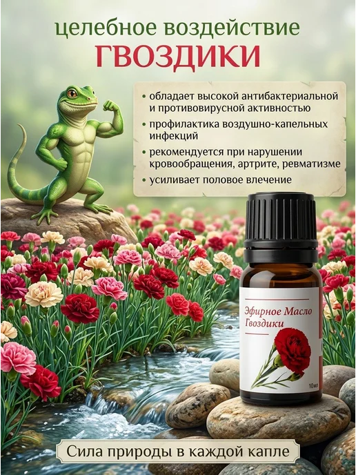 Эфирное масло Гвоздика 10 мл, 10 мл, фото 4