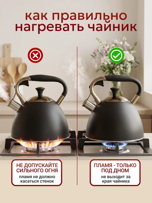 Astix Чайник для плиты со свистком 2.5л, 2,7 л, фото 4