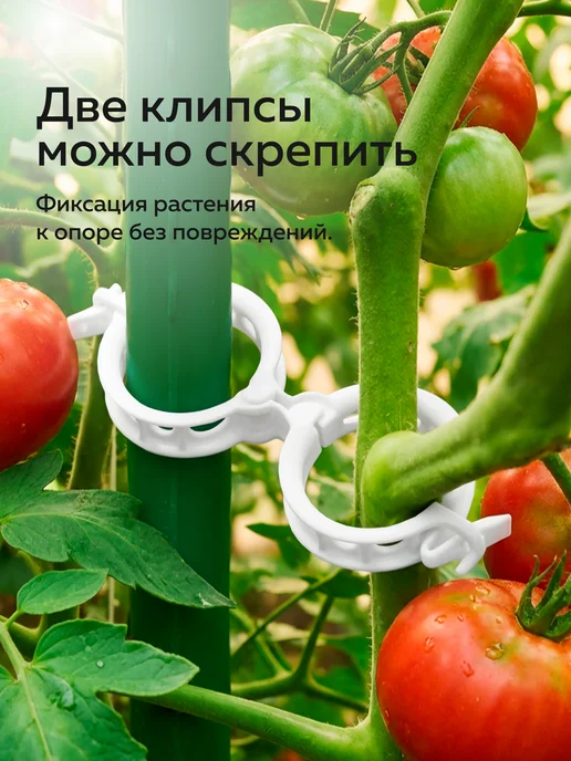 Набор клипс для подвязки садовых растений, 300шт, белый, 300 шт, белый, фото 5
