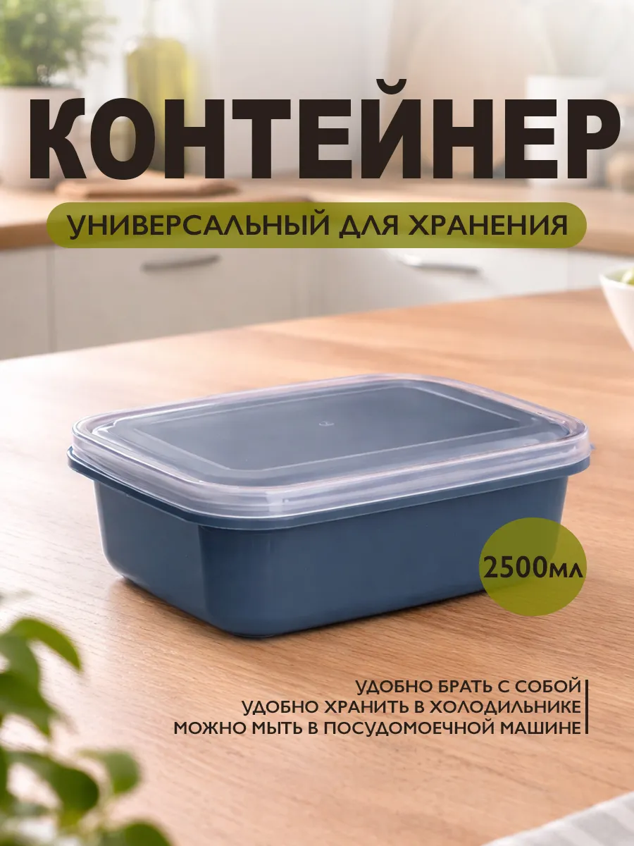Контейнер для еды пластиковый 2500 мл