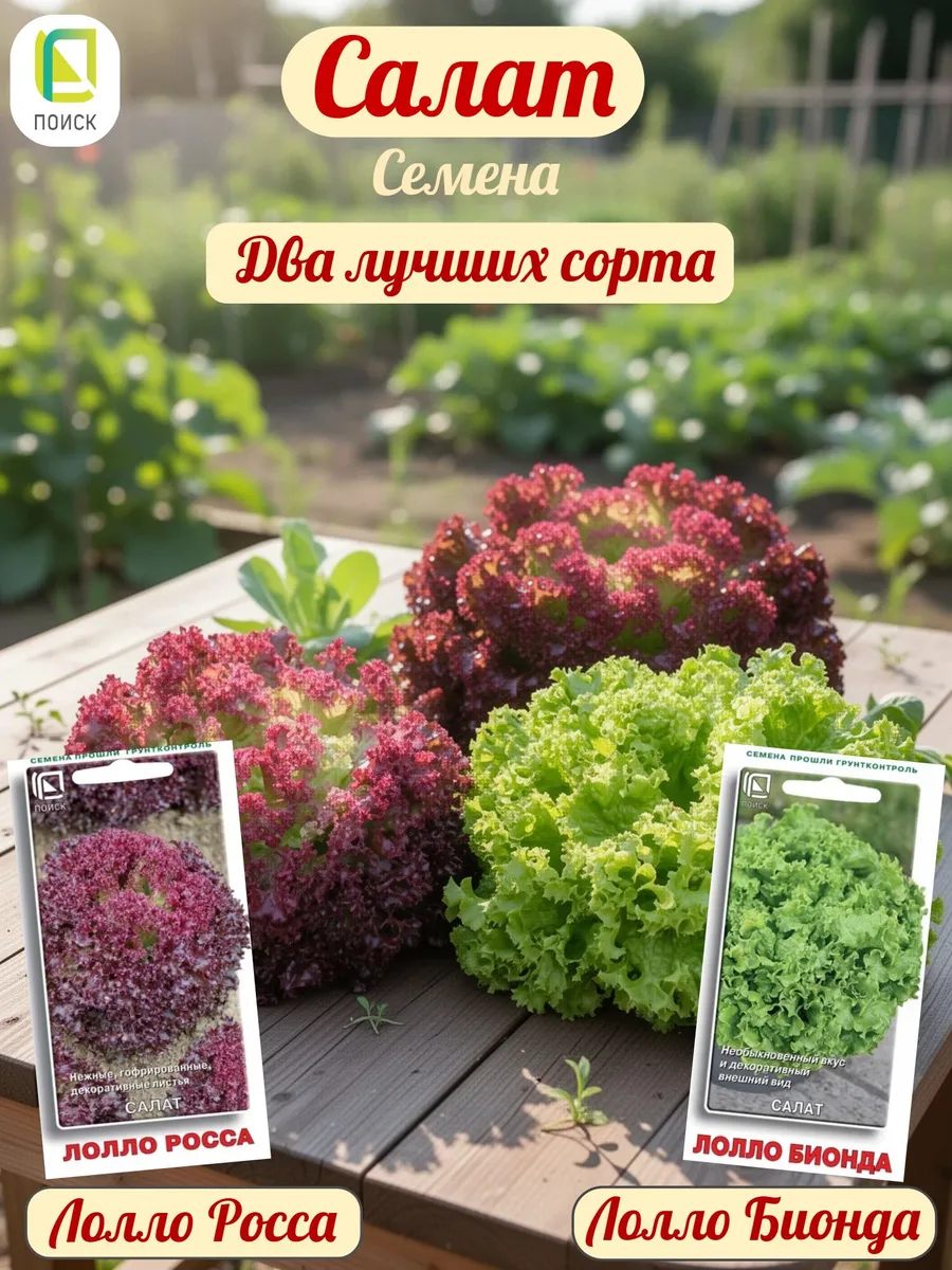 Салат листовой Лолло Росса, Лолло Бионда семена