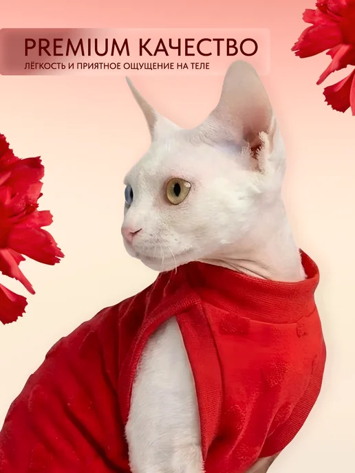 ALFAKOT Одежда для кошек. Платье для сфинксов взрослых из хлопка, вариант, фото 5