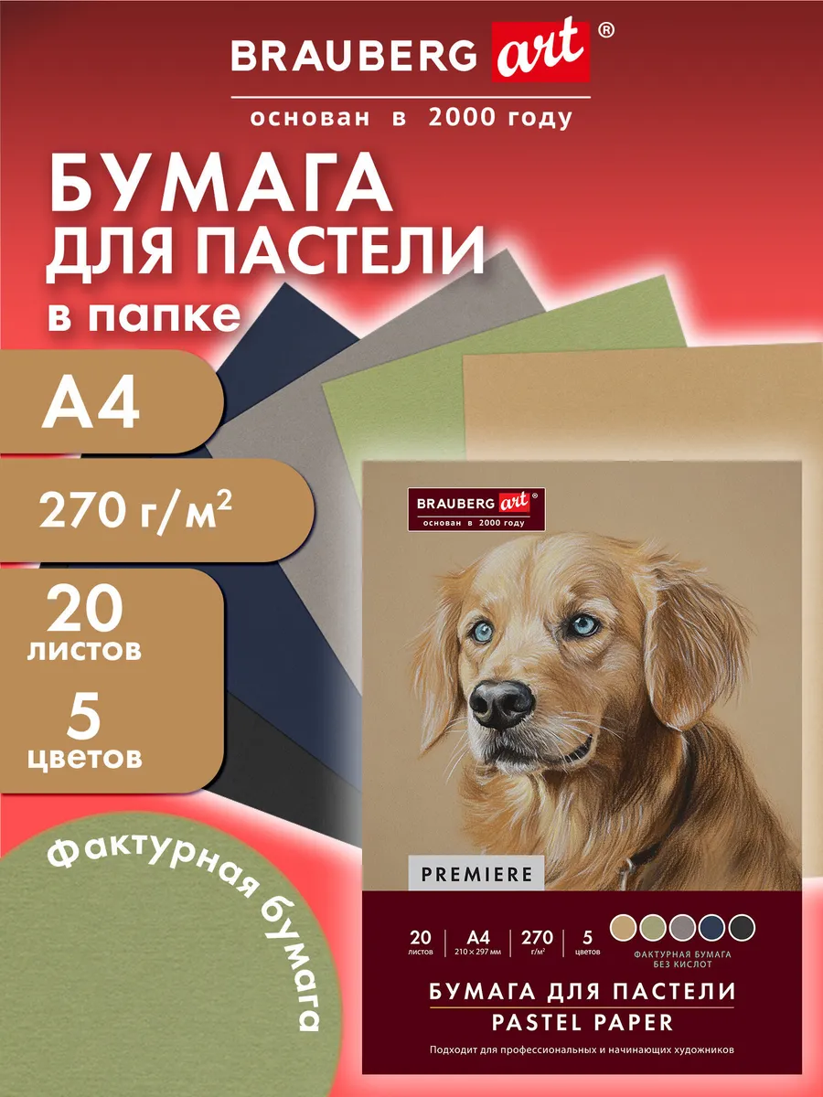 Бумага для пастели, рисования художественная A4, 20 л 5 цв
