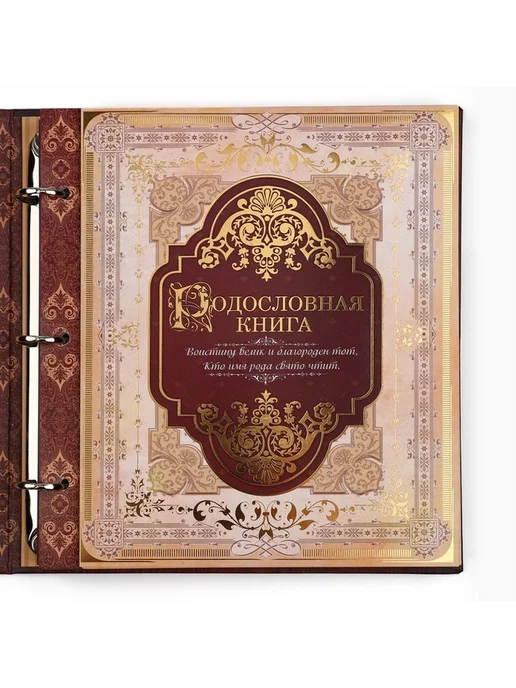 Стильная семейная книга с фоторамкой, вариант, фото 5