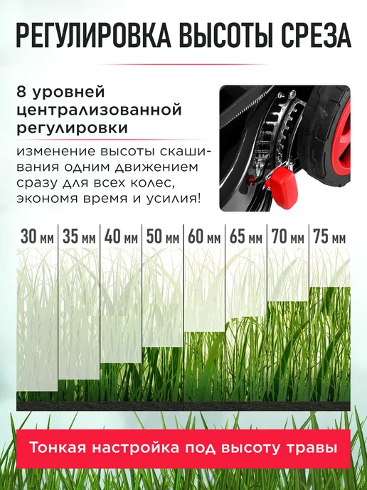 wortex Газонокосилка аккумуляторная CLM 4536 XLT SOLO без АКБ, вариант, фото 2