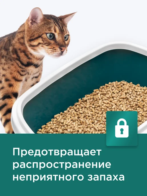 NAPKINS Древесный наполнитель для кошек лесная свежесть, 70 л 20 кг, 20 л, 8 кг, фото 5