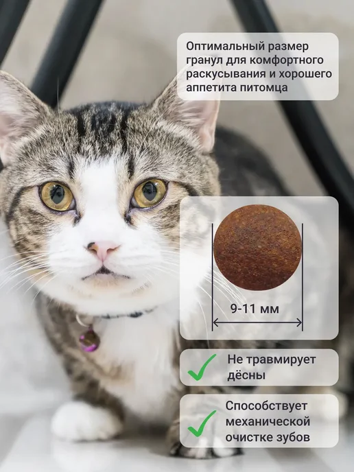 Сухой корм MANITEX - корма для домашних питомцев Кошек для собак, стерилизованные, индейка, 0,5 кг, фото 2