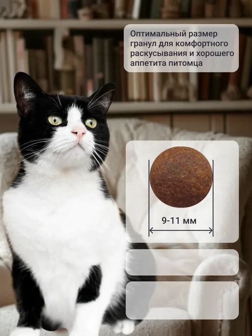 Сухой корм MANITEX - корма для домашних питомцев Кошек для собак, курица, 1,6 кг, фото 2