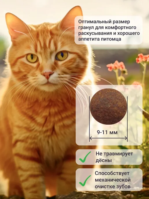 Сухой корм MANITEX - корма для домашних питомцев Кошек для собак, мясо, 0,5 кг, фото 2