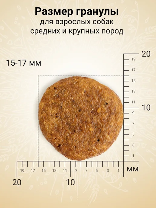 Сухой корм CRAFTIA Natura для собак, взрослые, крупные, средние, ягненок, 0,7 кг, фото 2