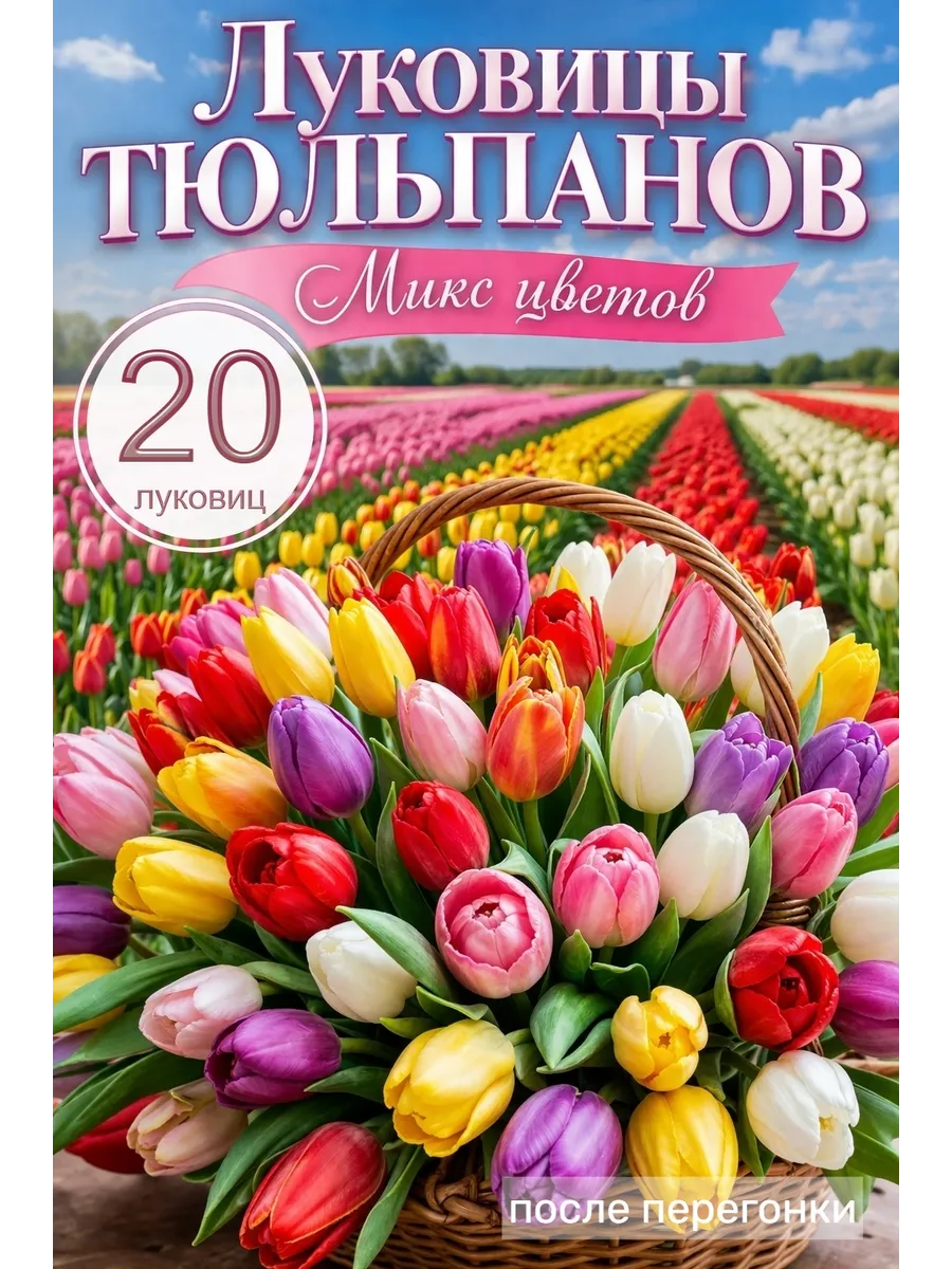 Луковицы тюльпанов 20 шт микс цветов на посадку весной