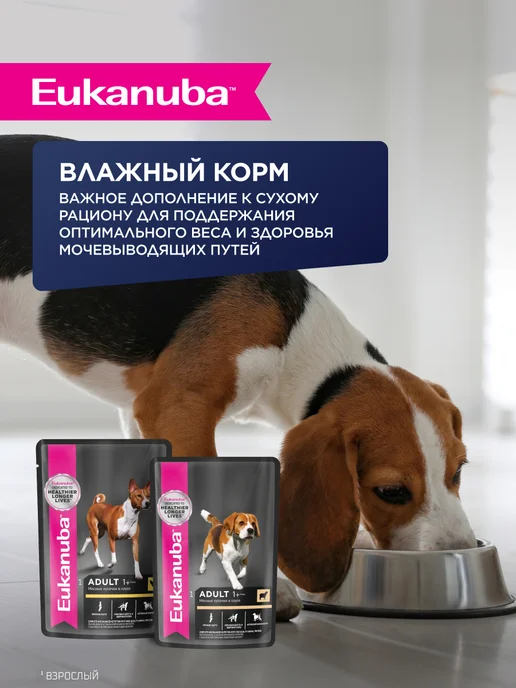 Сухой корм Eukanuba для собак, крупные, ягненок, 12 кг, фото 7