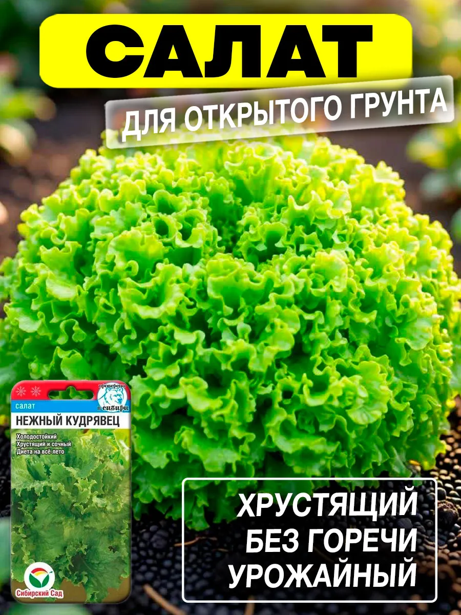 Семена Салат Нежный кудрявец
