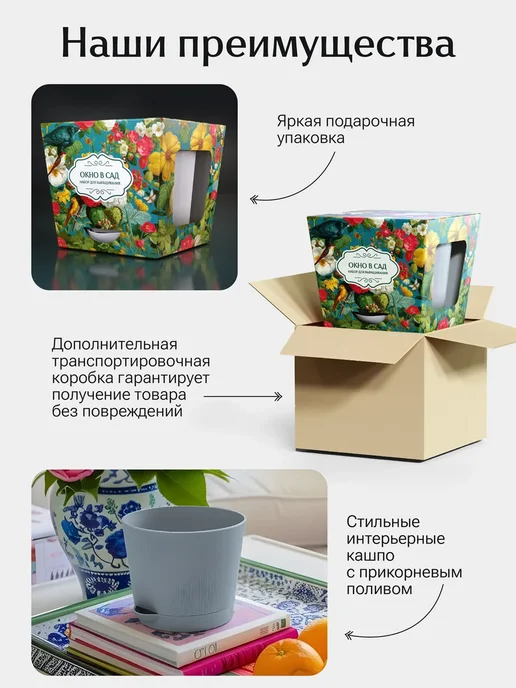Окно в сад Земляника ремонтантная красная и белая Набор для выращивания, белый, фото 2