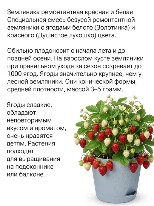 Окно в сад Земляника ремонтантная красная и белая Набор для выращивания, белый, фото 3