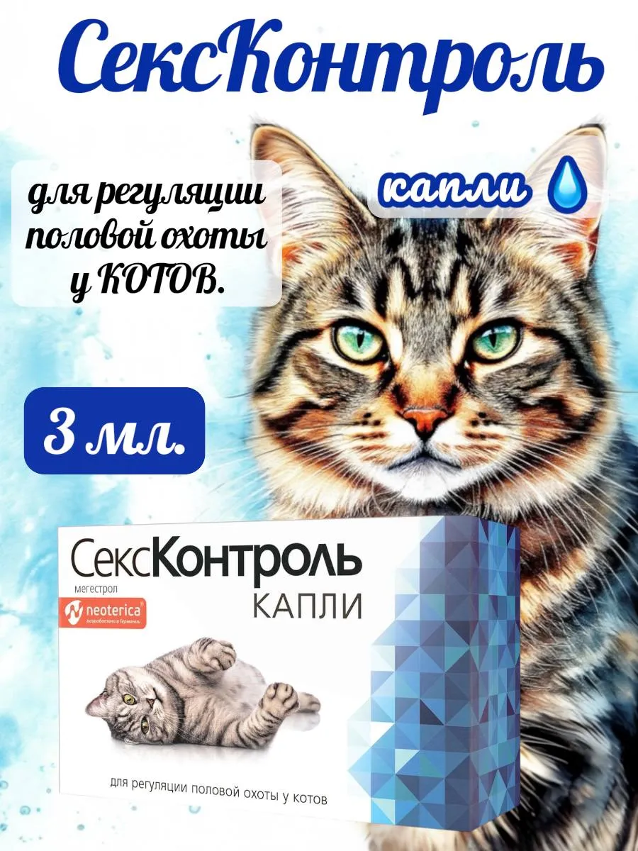 Секс Контроль Капли Для Котов Сколько Каплей Секс Контроль Капли Для Котов Сколько Каплей
