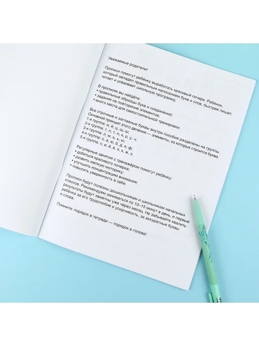 Феникс+ Прописи по русскому языку 1-4 класс, 32 стр, 16,5х23,5 см, 16.5x23.5 см, фото 3