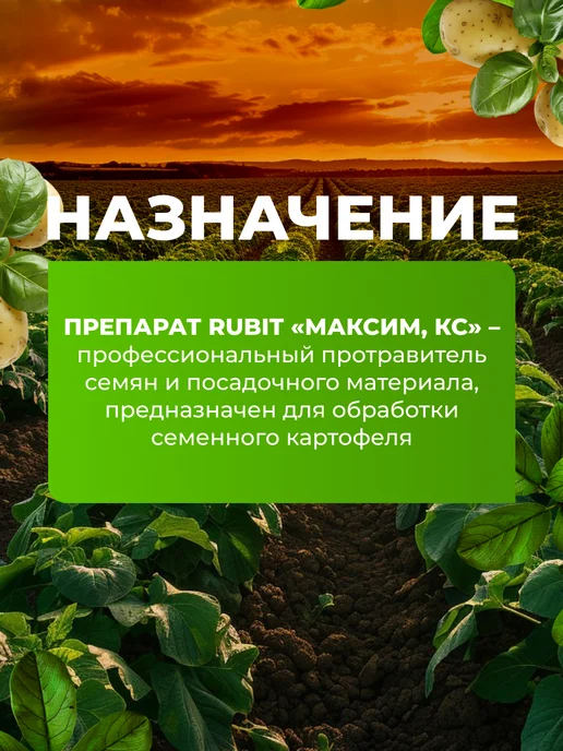 Rubit Фунгицид Максим от гнилей и плесени, 3амп х 2мл, 2 мл, фото 2