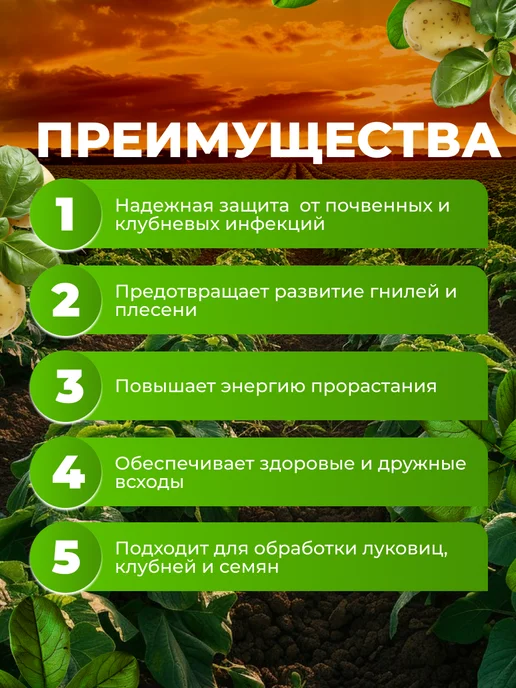 Rubit Фунгицид Максим от гнилей и плесени, 3амп х 2мл, 2 мл, фото 3