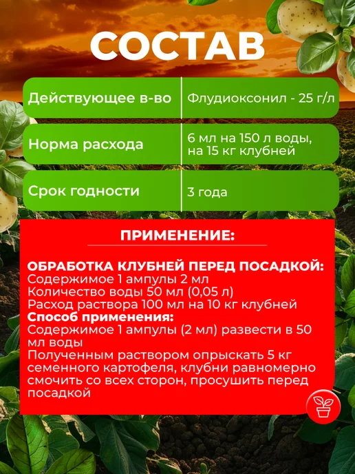 Rubit Фунгицид Максим от гнилей и плесени, 3амп х 2мл, 2 мл, фото 4