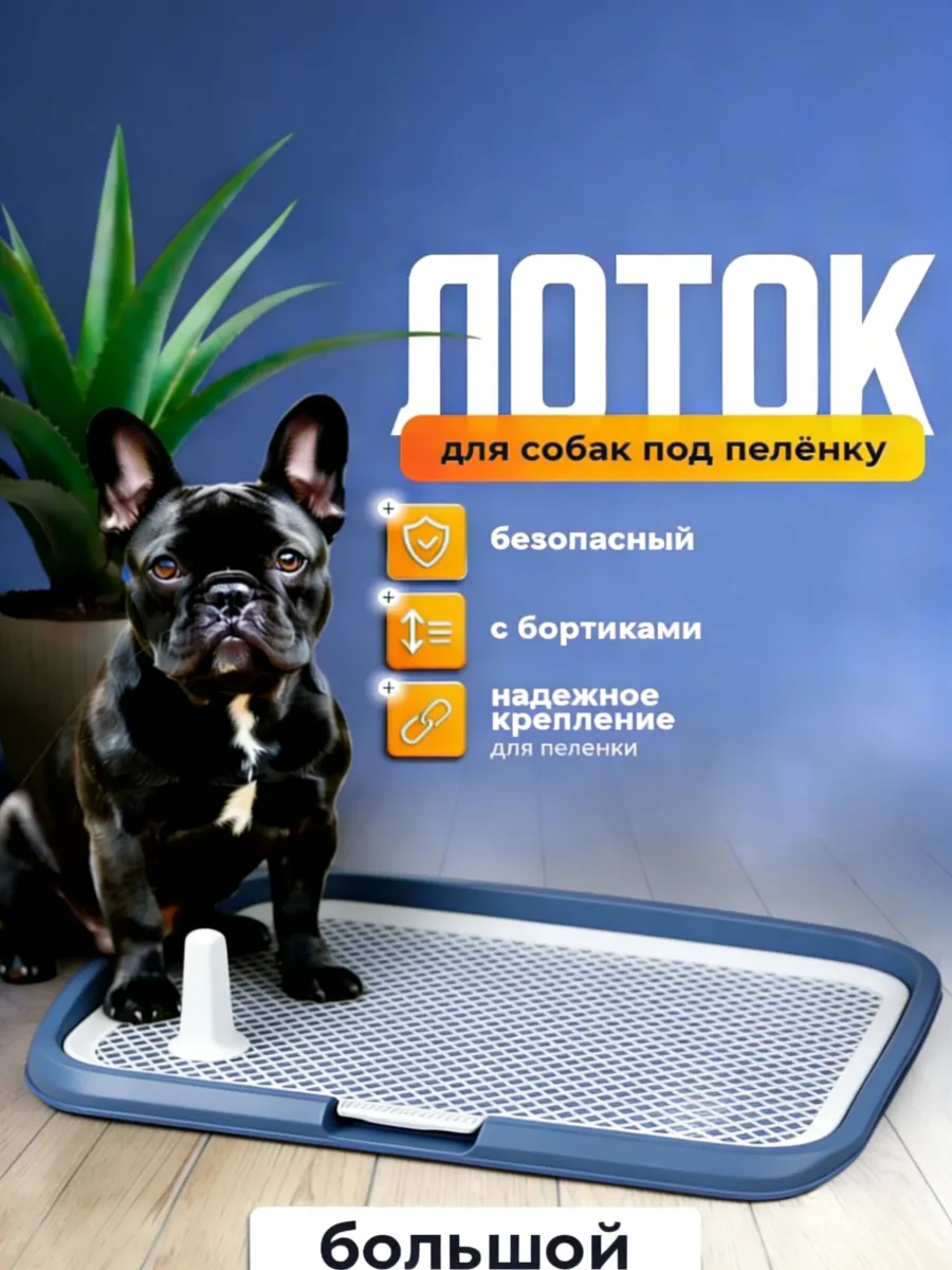 Лоток для собак под пеленку 64х49 см